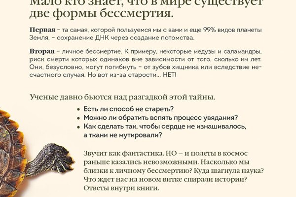 Kraken ссылка kraken link24 info