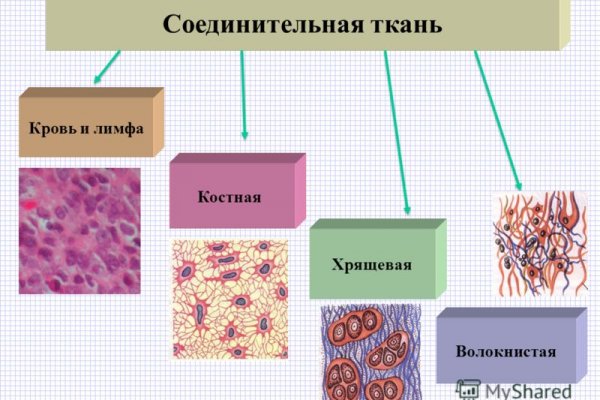 Кракен закладки