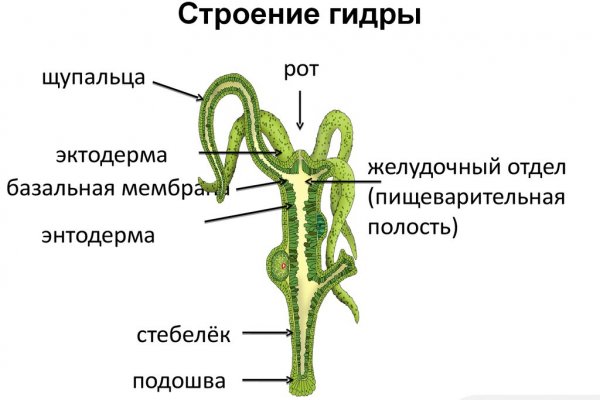 Кракен тг маркетплейс