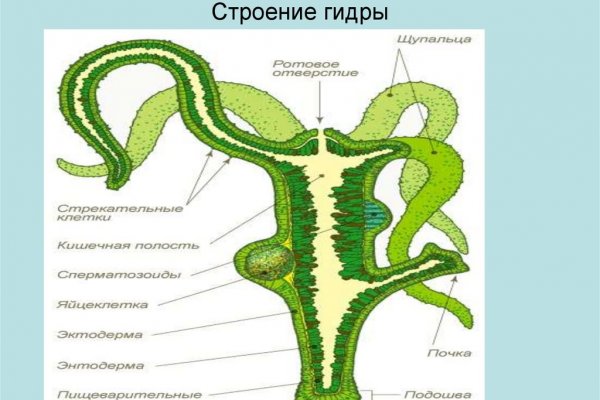 Кракен браузер ссылка