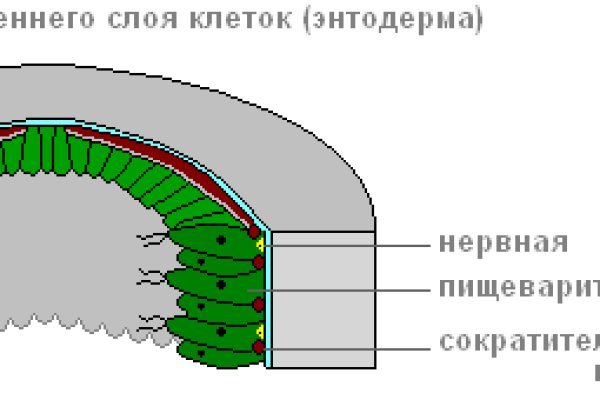 Кракен маркетплейс телеграм
