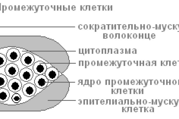 Ссылка на кракен тор kr2web in