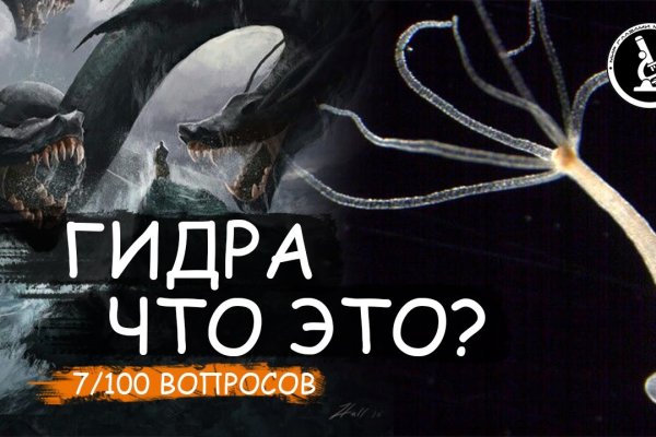 Ошибка на кракене