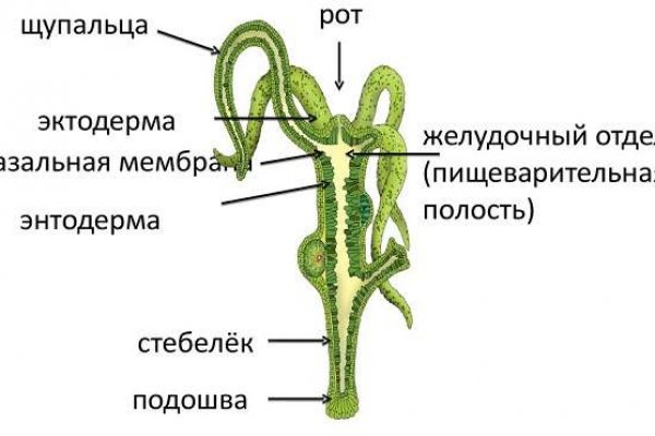 Кракен зайти